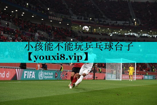 小孩能不能玩乒乓球台子
